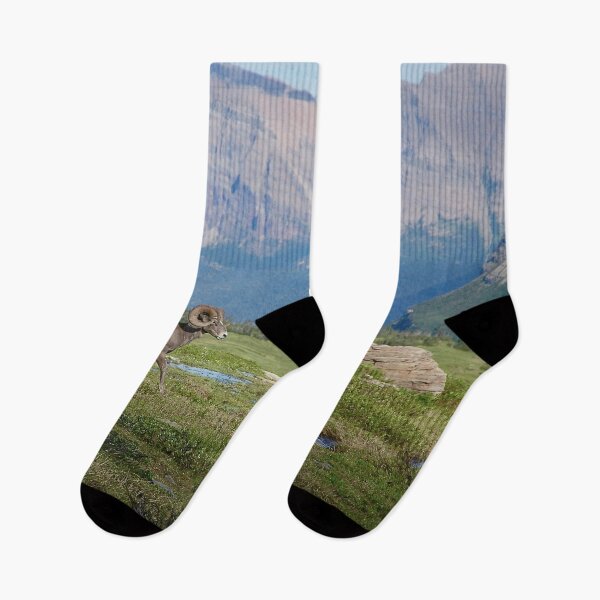 Item preview, Big Horn Sheep Glacier National Park photograph is a favorite for people who love nature and wildlife.  This design makes a great gift of the great outdoors. designed and sold by jenkcole08.