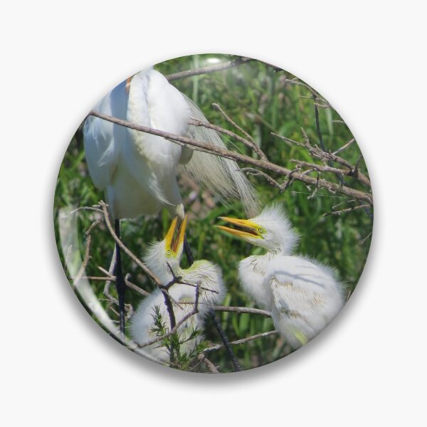 Item preview, Great egrets on nest designed and sold by Lynne Marie Shayko.