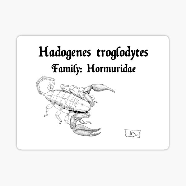 Item preview, Hadogenes troglodytes designed and sold by DavidNeffArt.
