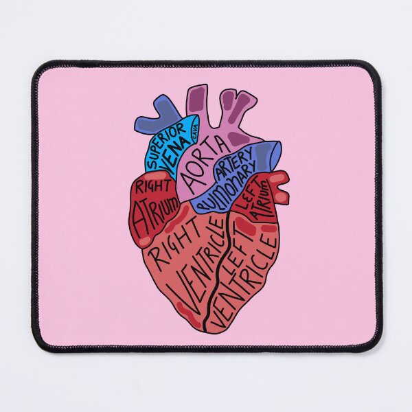 Item preview, Cute Anatomical heart designed and sold by Quacktails.
