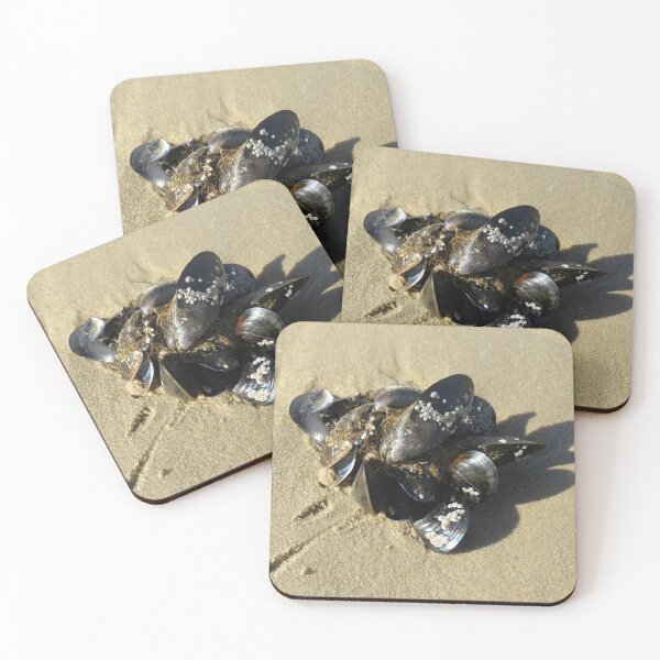 Item preview, Mussel shells and barnacles designed and sold by greentiger1.
