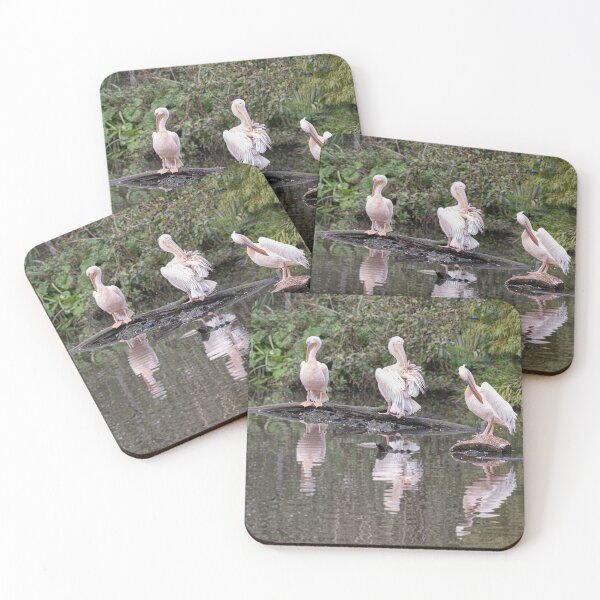Item preview, Three Pelican designed and sold by kathleenjean.