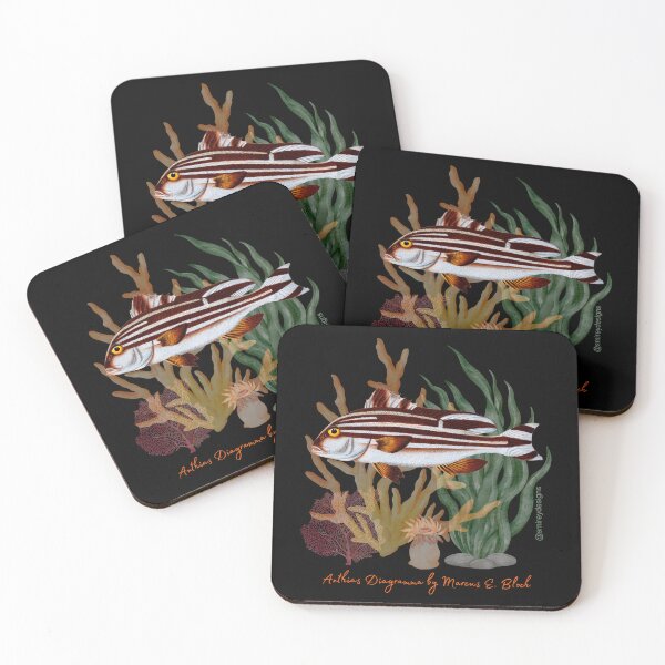 Item preview, Anthias Diagramma by Marcus Elieser Bloch designed and sold by smirey designs.
