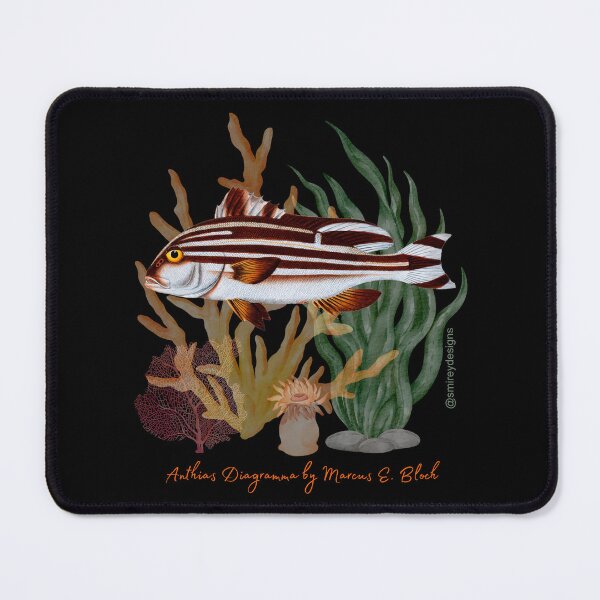 Item preview, Anthias Diagramma by Marcus Elieser Bloch designed and sold by smirey designs.