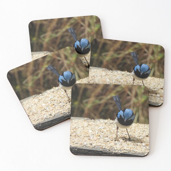 Item preview, Superb Fairywren in Norton Summit 2 designed and sold by Claire L Page Photography.