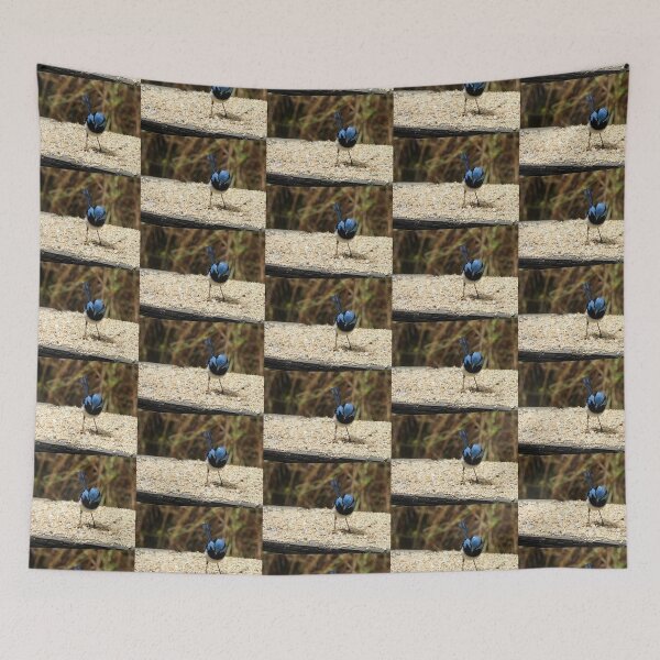 Item preview, Superb Fairywren in Norton Summit 2 designed and sold by Claire L Page Photography.