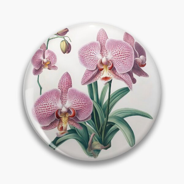 Item preview, Beautiful Phalaenopsis Orchid  designed and sold by LanaGustavsson.