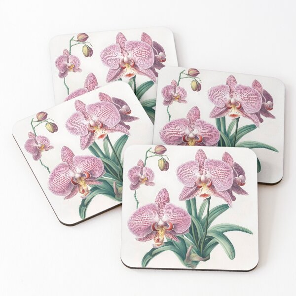Item preview, Beautiful Phalaenopsis Orchid  designed and sold by LanaGustavsson.