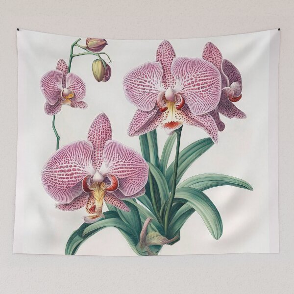 Item preview, Beautiful Phalaenopsis Orchid  designed and sold by LanaGustavsson.