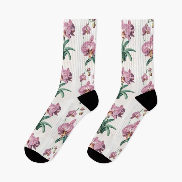 Item preview, Beautiful Phalaenopsis Orchid  designed and sold by LanaGustavsson.