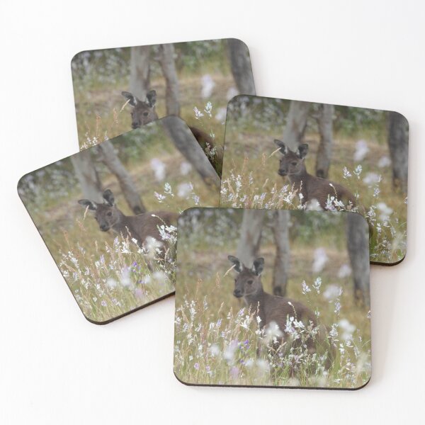 Item preview, Western Grey Kangaroo in a field of African Corn Lilies designed and sold by Claire L Page Photography.