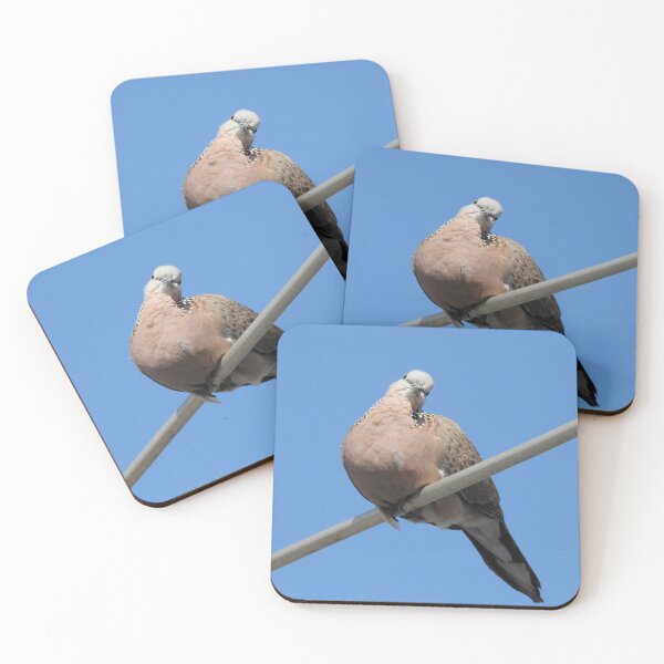 Item preview, Spotted Turtledove on an aerial designed and sold by Claire L Page Photography.