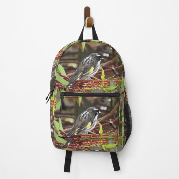 Item preview, New Holland Honeyeater sitting in a Gum Tree designed and sold by Claire L Page Photography.