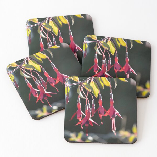Item preview, Fuchsia designed and sold by Calidris Fotografie Steffi & Ben Köppler.