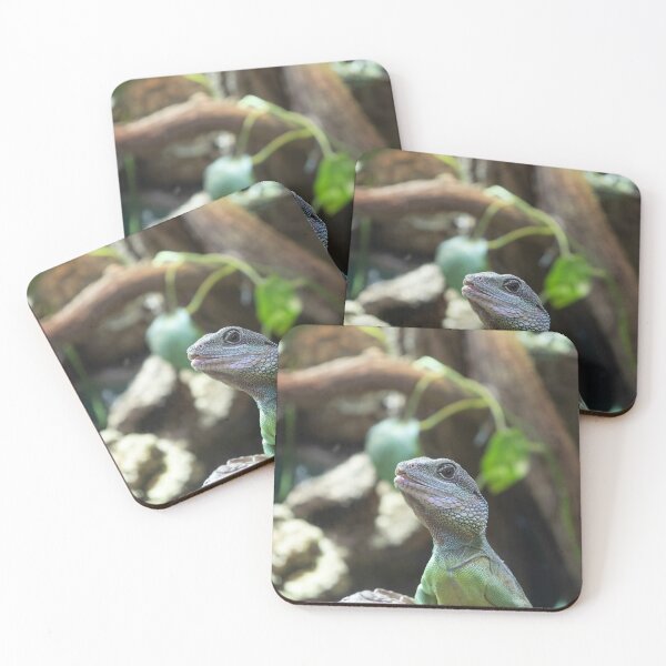Item preview, Green Water Dragon designed and sold by Calidris Fotografie Steffi & Ben Köppler.