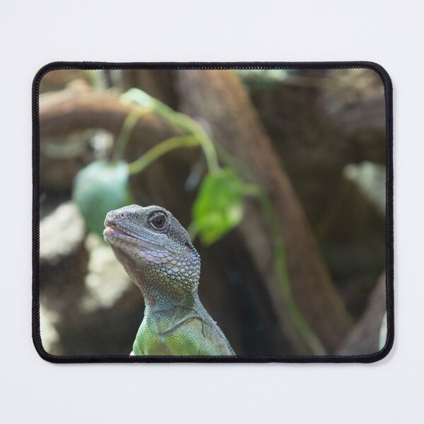 Item preview, Green Water Dragon designed and sold by Calidris Fotografie Steffi & Ben Köppler.