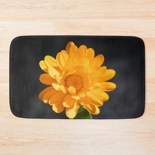Item preview, Common Marigold designed and sold by Calidris Fotografie Steffi & Ben Köppler.