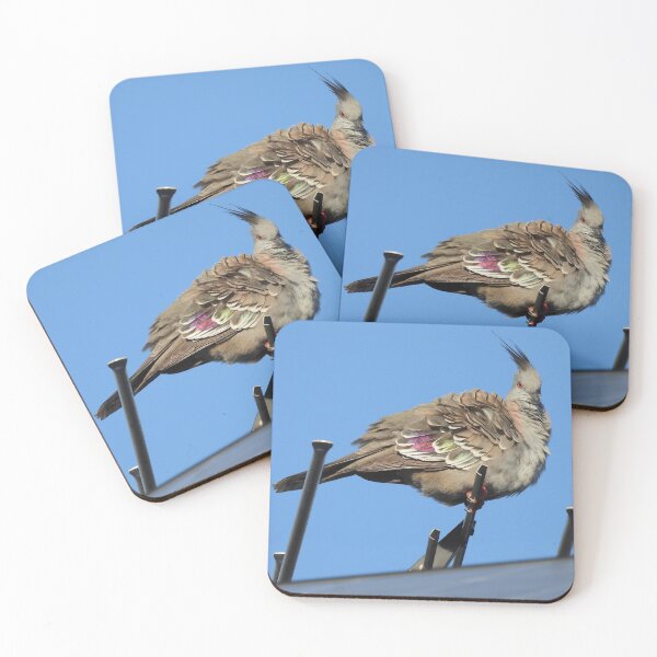 Item preview, Crested Pigeon on an Aerial designed and sold by Claire L Page Photography.