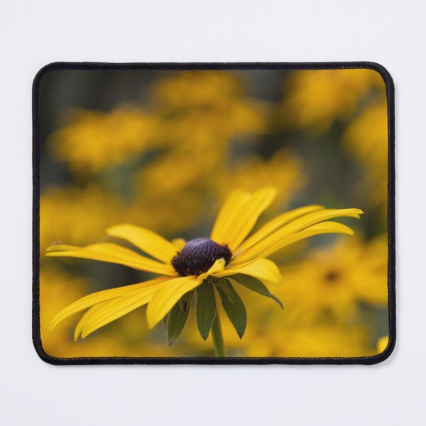 Item preview, Black-eyed Susan designed and sold by Calidris Fotografie Steffi & Ben Köppler.