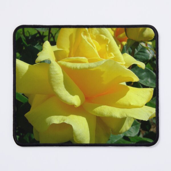 Item preview, Yellow Rose designed and sold by JuliaWright.