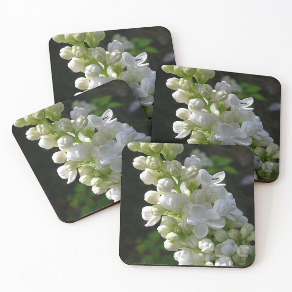Item preview, White Lilac designed and sold by JuliaWright.