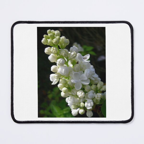 Item preview, White Lilac designed and sold by JuliaWright.