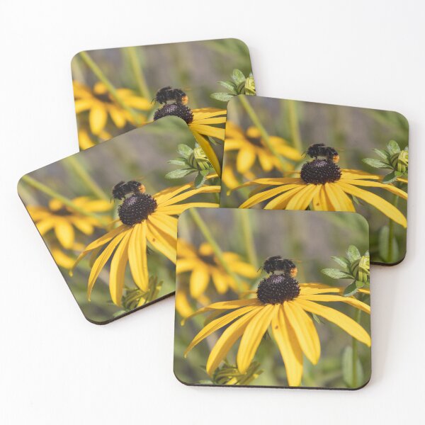 Item preview, Black-eyed Susan and Red-tailed Bumblebee designed and sold by Calidris Fotografie Steffi & Ben Köppler.