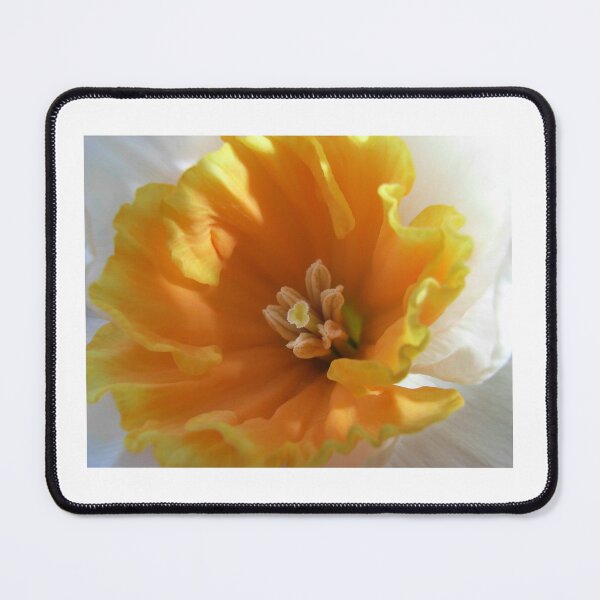 Item preview, Daffodil designed and sold by JuliaWright.