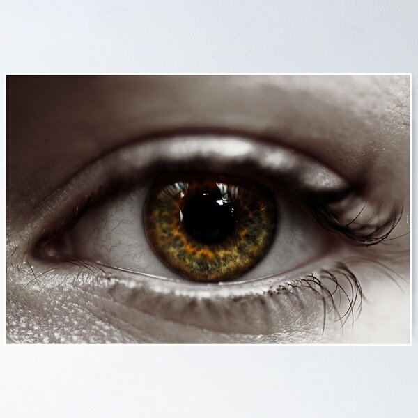 Item preview, Eye designed and sold by Lambertfoto.