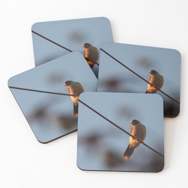 Item preview, Noisy Miner bird on a wire designed and sold by Claire L Page Photography.