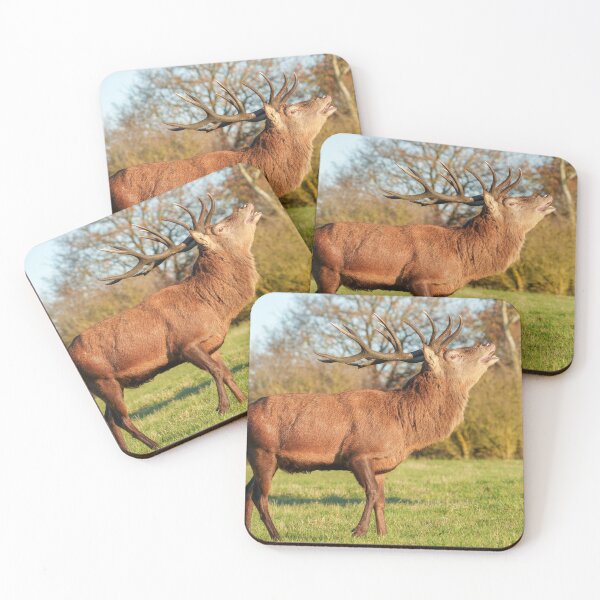 Item preview, Red Deer Stag designed and sold by rawshutterbug.