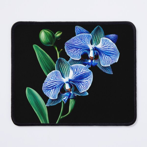 Item preview, Beautiful Blue Phalaenopsis Orchid  designed and sold by LanaGustavsson.