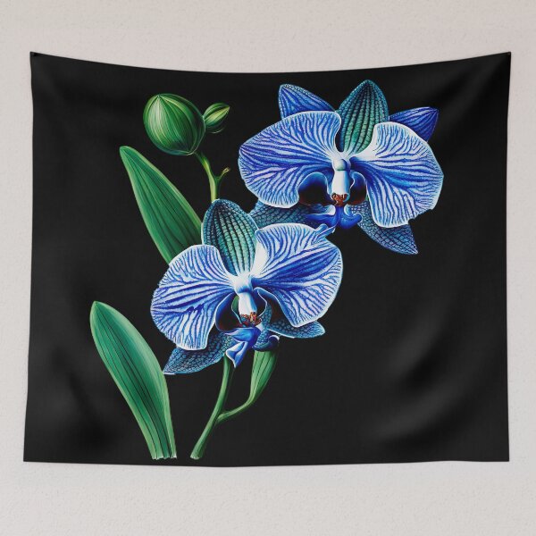 Item preview, Beautiful Blue Phalaenopsis Orchid  designed and sold by LanaGustavsson.