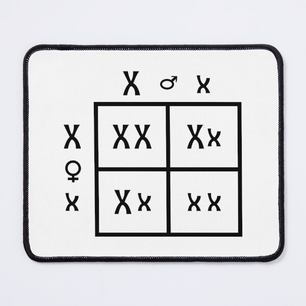 Item preview, Punnett Square designed and sold by ScienceCorner.