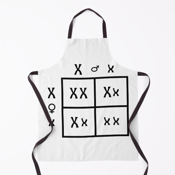 Item preview, Punnett Square designed and sold by ScienceCorner.