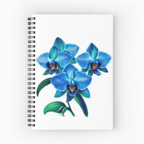 Item preview, Beautiful Blue Phalaenopsis Orchid  designed and sold by LanaGustavsson.