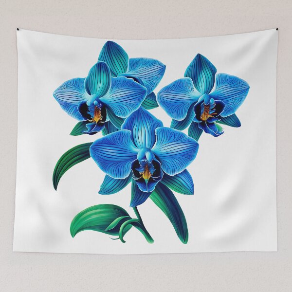Item preview, Beautiful Blue Phalaenopsis Orchid  designed and sold by LanaGustavsson.