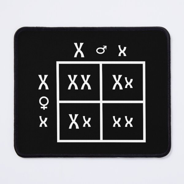 Item preview, Punnett Square designed and sold by ScienceCorner.
