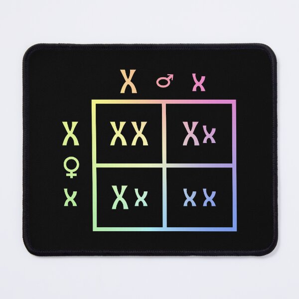 Item preview, Punnett Square designed and sold by ScienceCorner.
