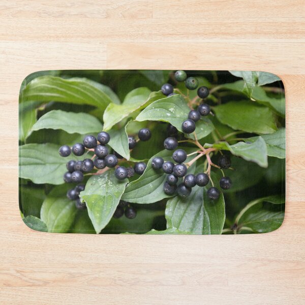 Item preview, common dogwood designed and sold by Calidris Fotografie Steffi & Ben Köppler.