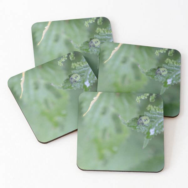 Item preview, Green Shield Bug designed and sold by Calidris Fotografie Steffi & Ben Köppler.