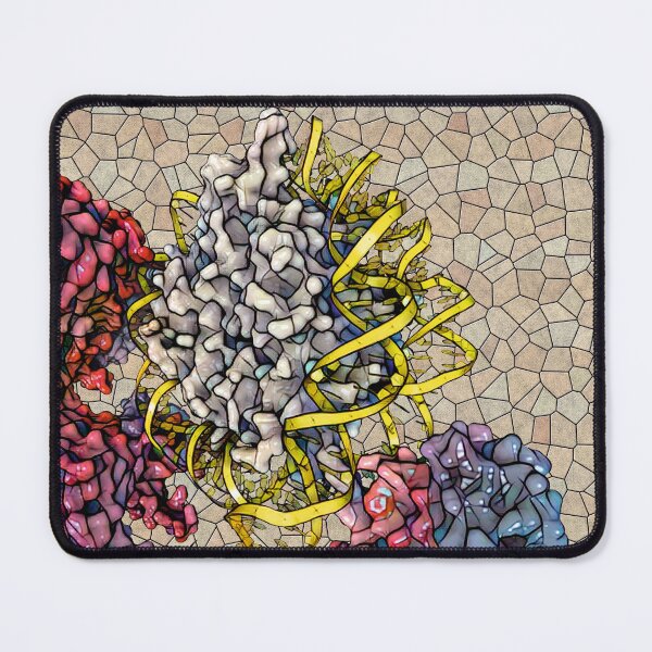 Item preview, Yeast Rpd3S complex designed and sold by Francisco J. Enguita.