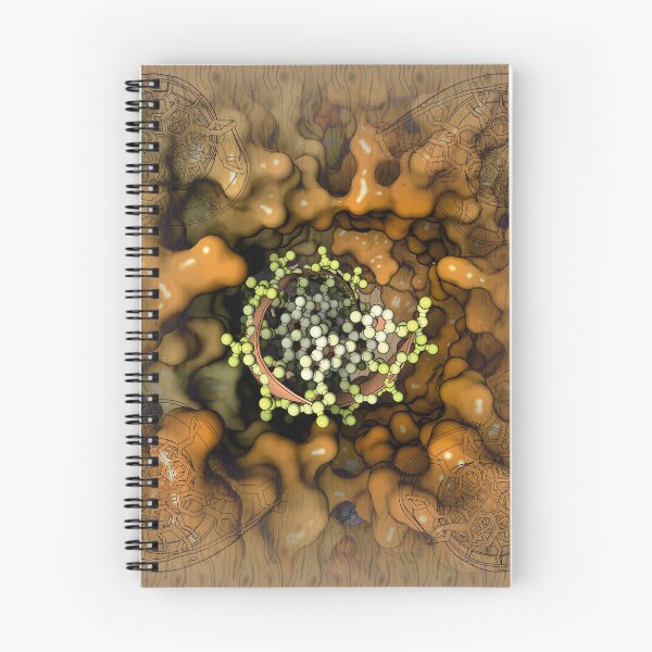 Item preview, RuvB-DNA complex designed and sold by Francisco J. Enguita.