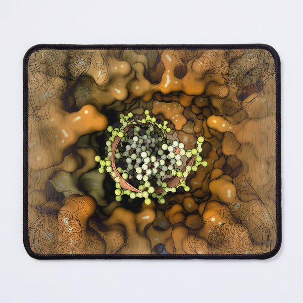 Item preview, RuvB-DNA complex designed and sold by Francisco J. Enguita.