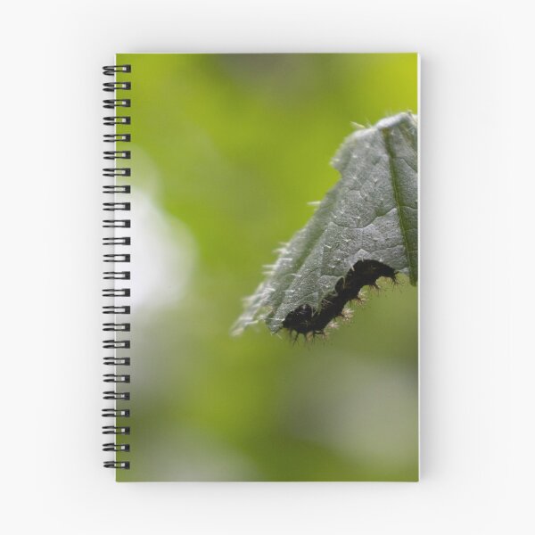 Item preview, Caterpillars designed and sold by Calidris Fotografie Steffi & Ben Köppler.