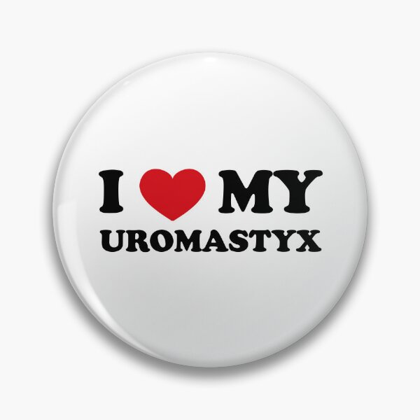Item preview, Love Beyond Species: I love my Uromastyx designed and sold by EmeraldeaArt.