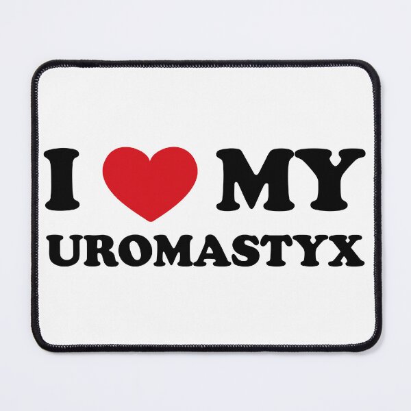 Item preview, Love Beyond Species: I love my Uromastyx designed and sold by EmeraldeaArt.