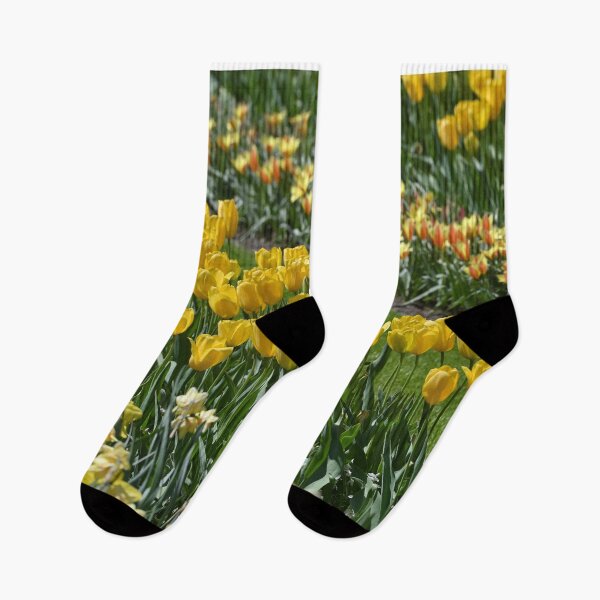Item preview, Pretty colorful Tulips designed and sold by studio838.