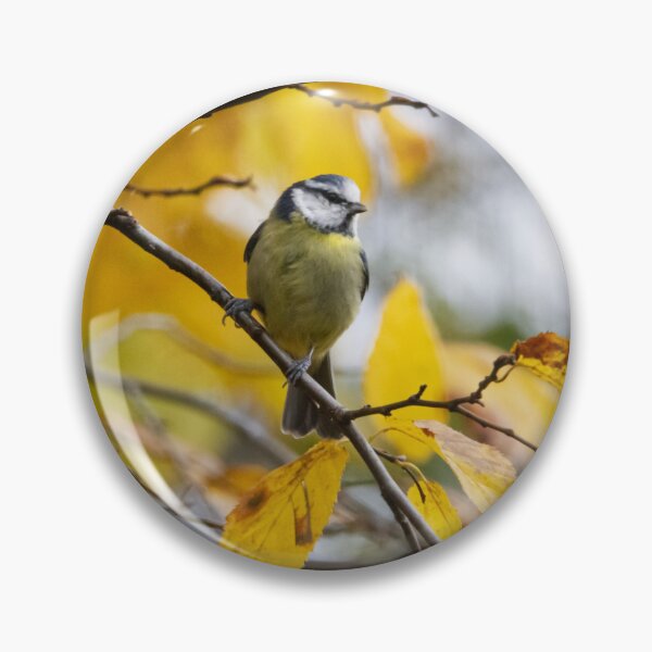 Item preview, Autumn Bluey designed and sold by StelleryART.