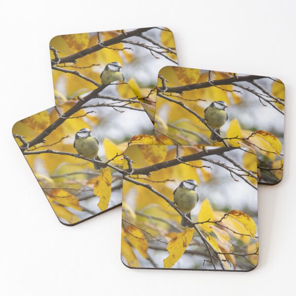 Item preview, Autumn Bluey designed and sold by StelleryART.